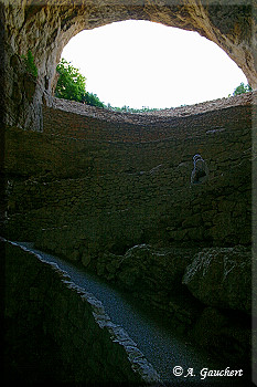 Blick nach oben